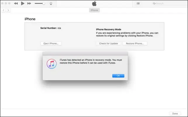 DFUモードを使用してiTunesに接続されているiPhone