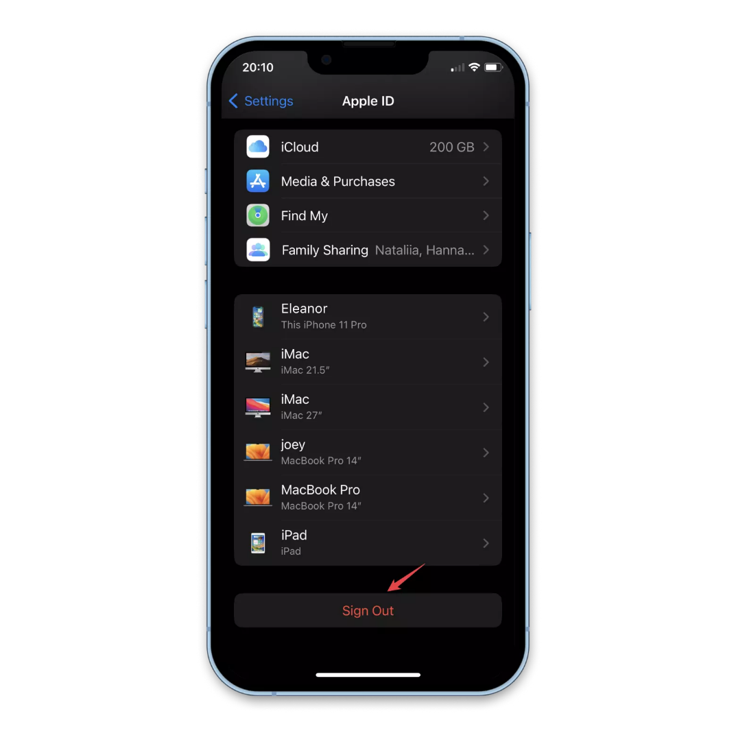 サインアウトして、Apple IDにもう一度ログインします
