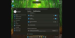 Windows 11 volume indicator position.jpg