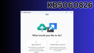 Windows 11 kb5060826.jpg